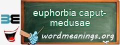 WordMeaning blackboard for euphorbia caput-medusae